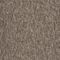 Carus 1010 Beige 650 Teppelflis