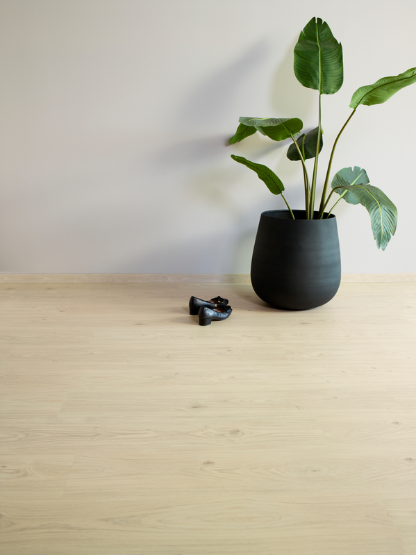 Aspecta Rigid Essential Elegant Oak Klikkvinyl