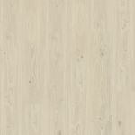 Aspecta Rigid Essentials Earl Klikkvinyl