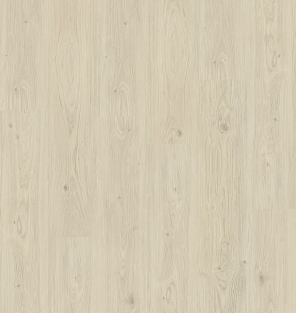 Aspecta Rigid Essentials Earl Klikkvinyl