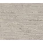 Storeys Curiosity 537024