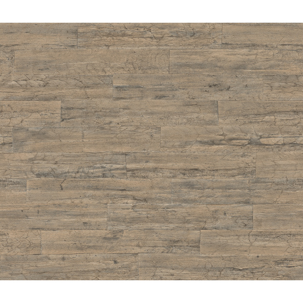 Storeys Curiosity 537031