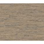 Storeys Curiosity 537031