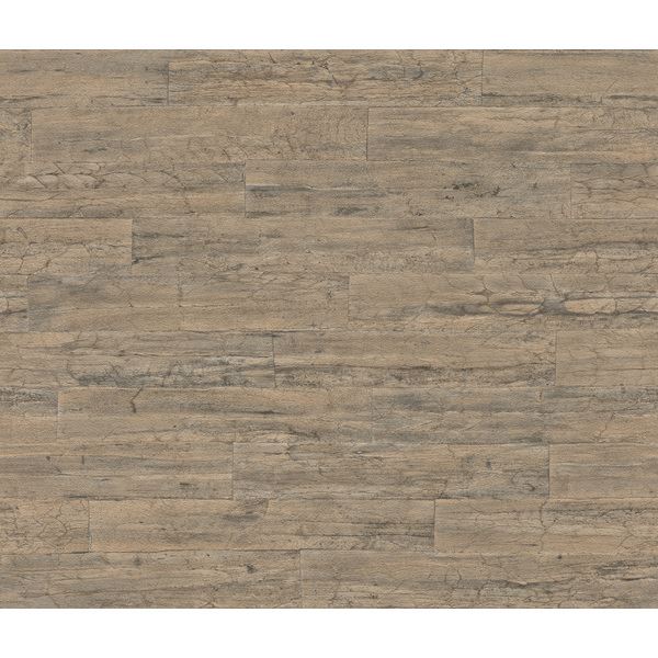 Storeys Curiosity 537031