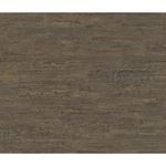 Storeys Curiosity 537055