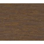 Storeys Curiosity 537062