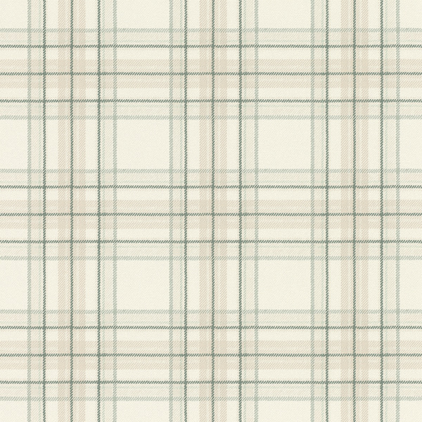 Storeys Curiosity 537437