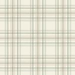 Storeys Curiosity 537437