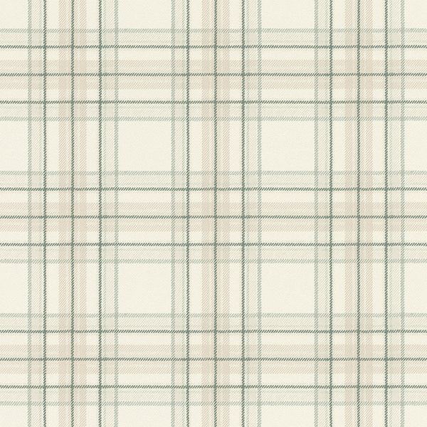 Storeys Curiosity 537437