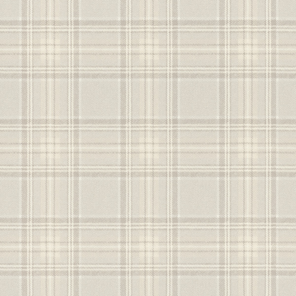 Storeys Curiosity 537444