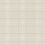 Storeys Curiosity 537444