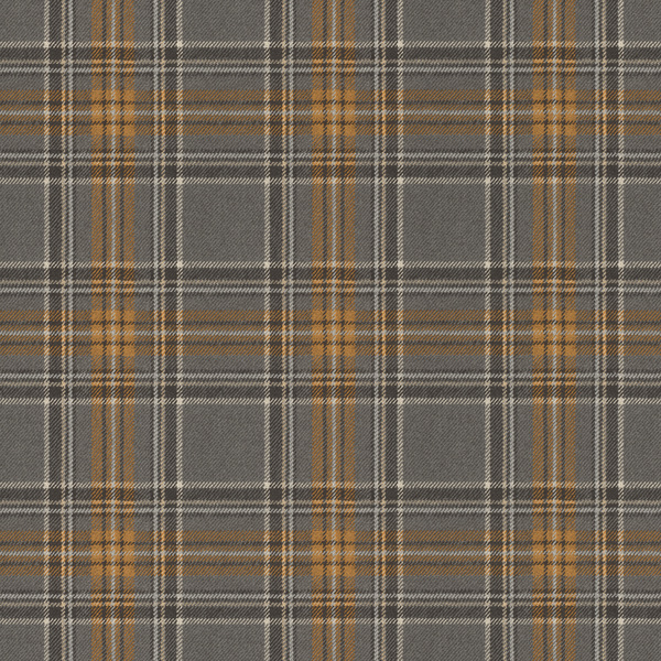 Storeys Curiosity 537451