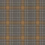 Storeys Curiosity 537451