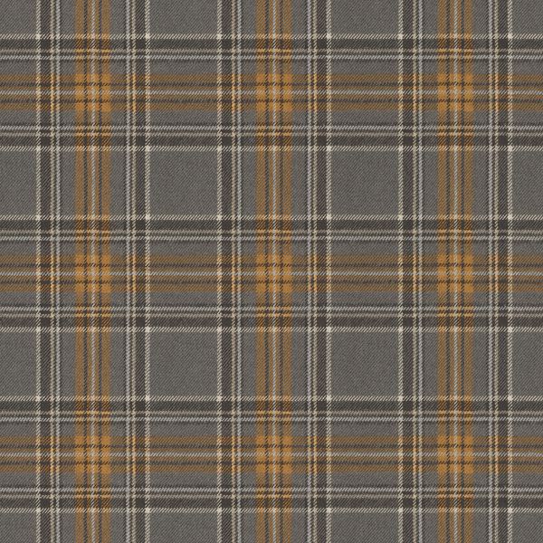 Storeys Curiosity 537451