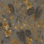 Storeys Curiosity 538229