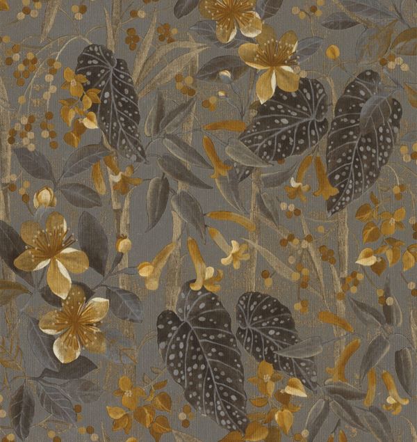 Storeys Curiosity 538229