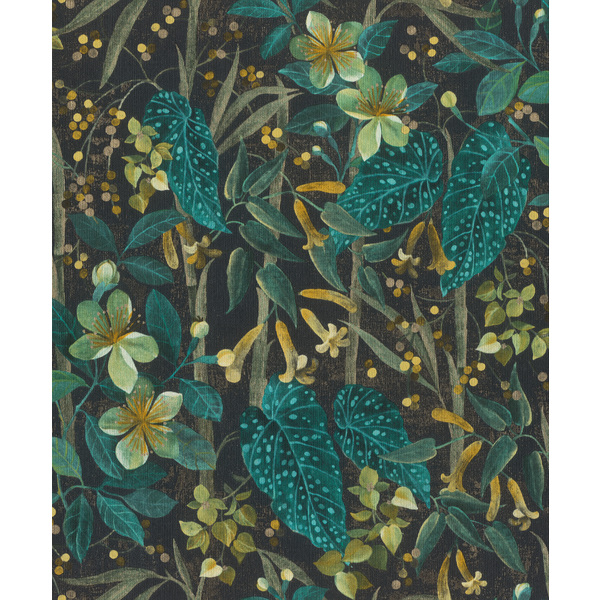 Storeys Curiosity 538243