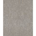 Storeys Curiosity 538335