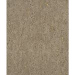 Storeys Curiosity 538342