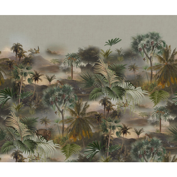 Storeys Curiosity 543599