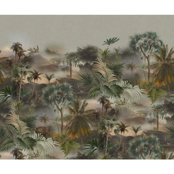 Storeys Curiosity 543599