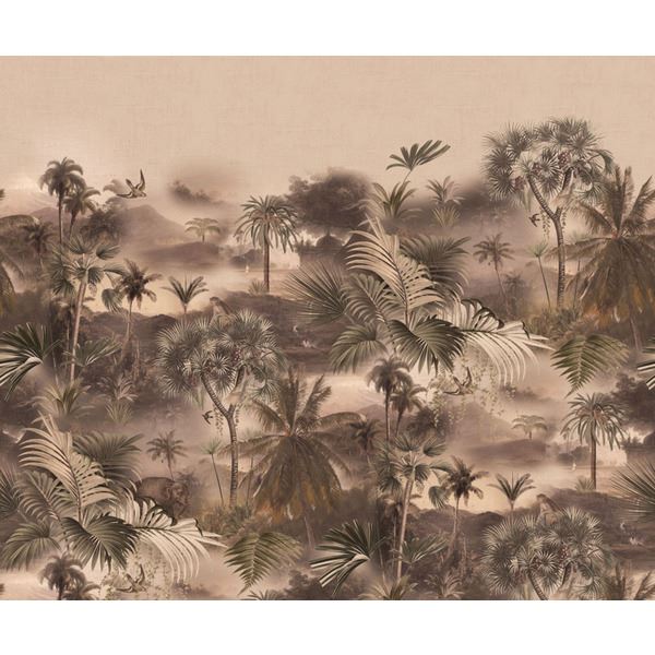 Storeys Curiosity 543636