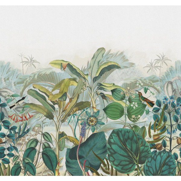 Storeys Curiosity 543643