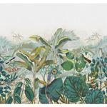 Storeys Curiosity 543643