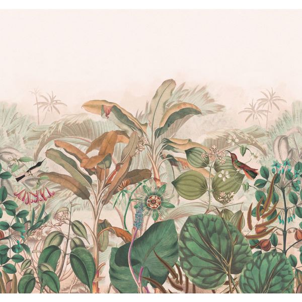 Storeys Curiosity 543667