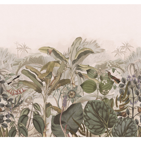 Storeys Curiosity 543698