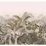 Storeys Curiosity 543698