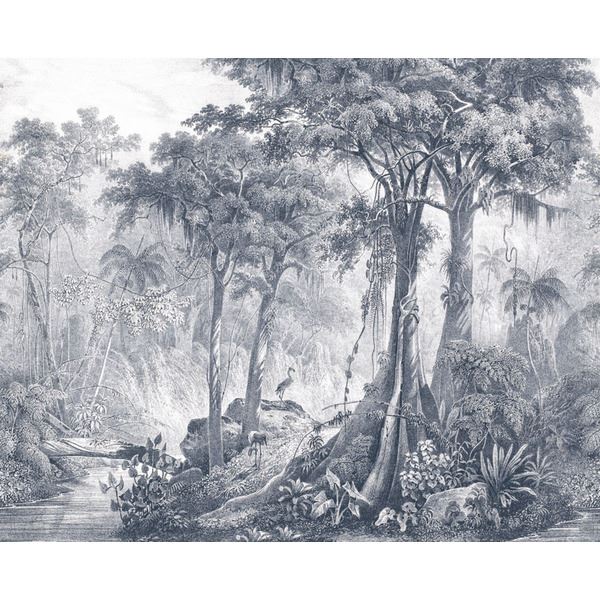 Storeys Curiosity 543742