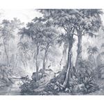 Storeys Curiosity 543759