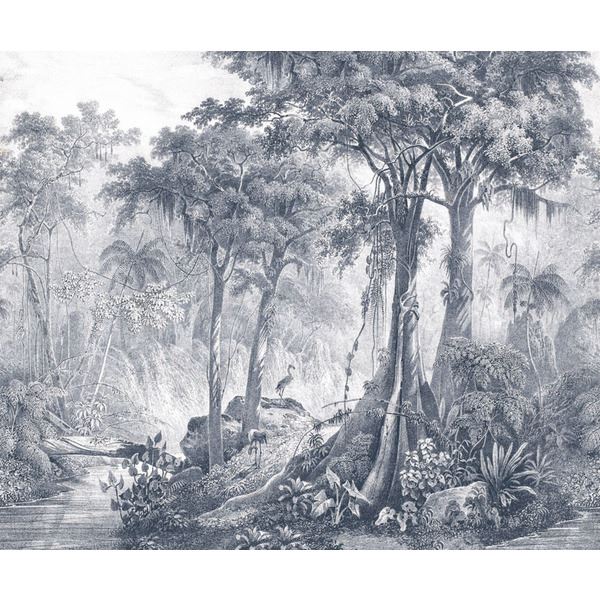 Storeys Curiosity 543759