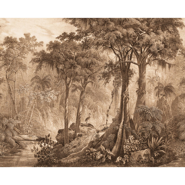 Storeys Curiosity 543766