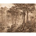 Storeys Curiosity 543766