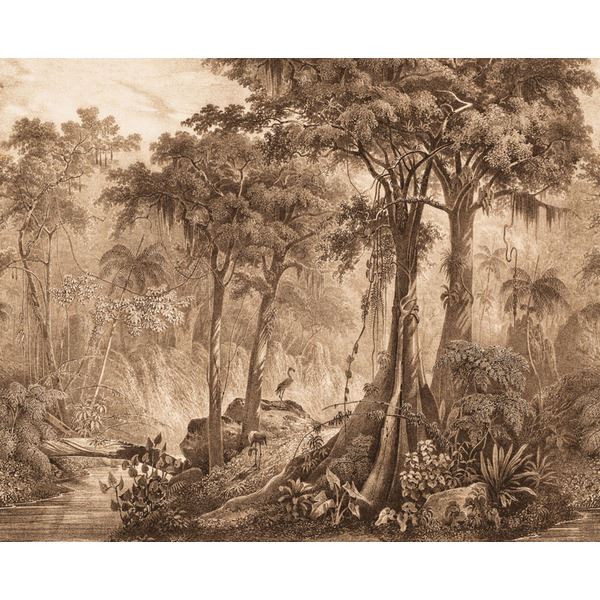 Storeys Curiosity 543766