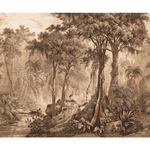 Storeys Curiosity 543773