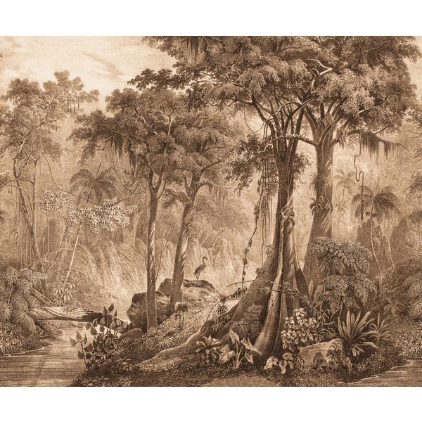 Storeys Curiosity 543773