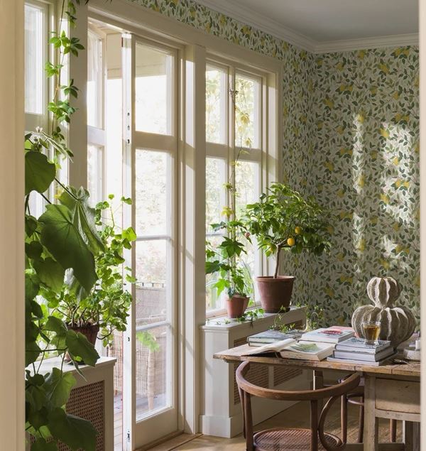 Boråstapeter Orangeri 5702