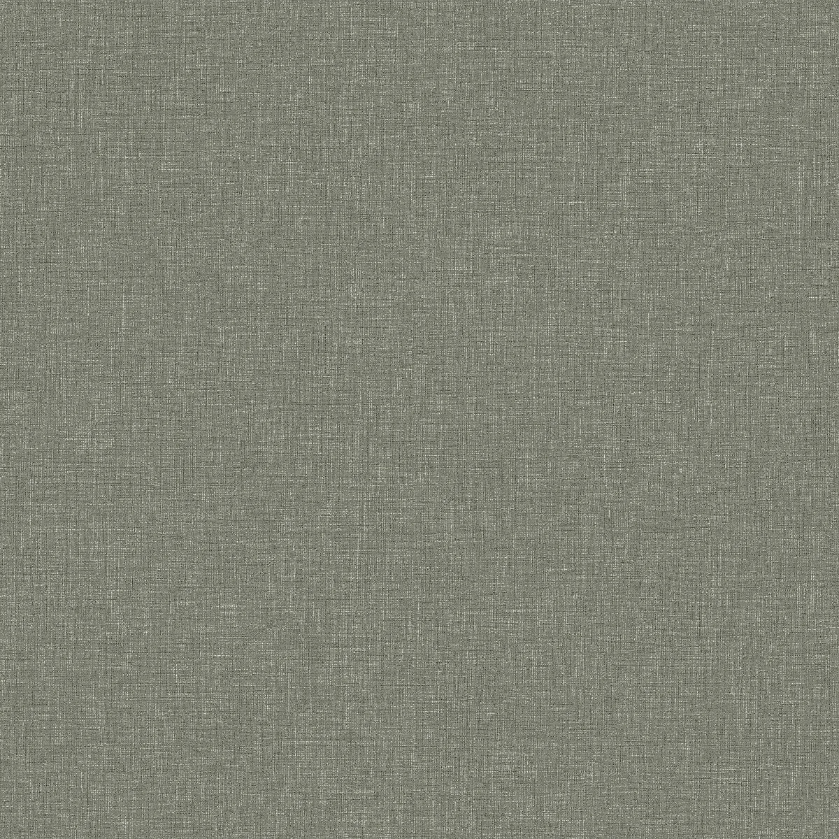 Boråstapeter Canvas Forest 6128