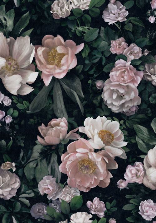 Boråstapeter New Dawn Rose 7234
