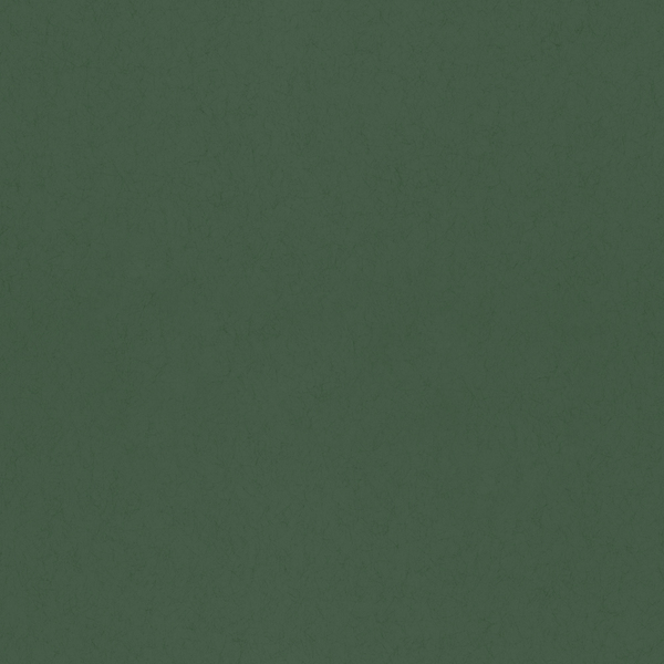 Storeys Hidden Treasures 77001