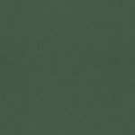 Storeys Hidden Treasures 77001