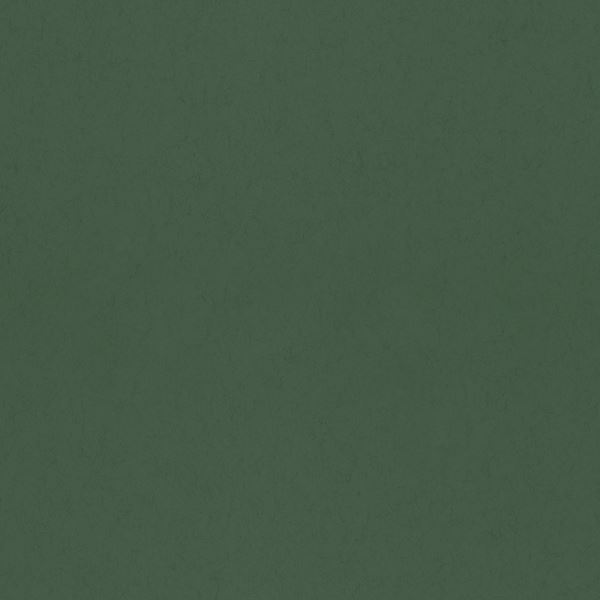 Storeys Hidden Treasures 77001