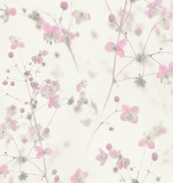 Storeys Botanical 38726-4