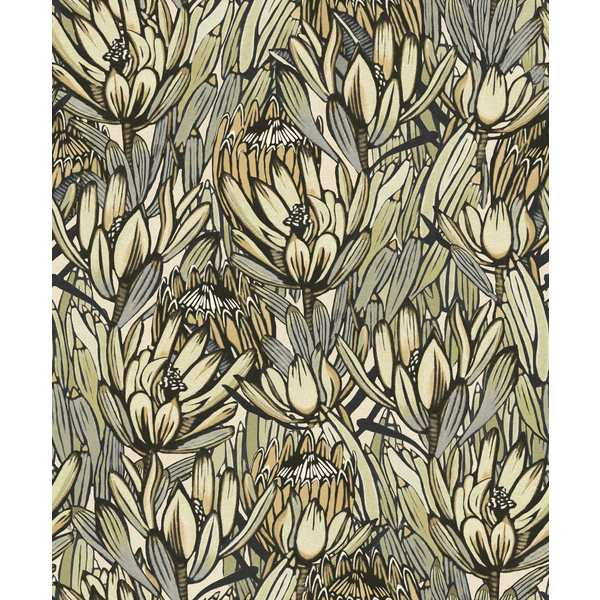 Storeys Brazil BA26030