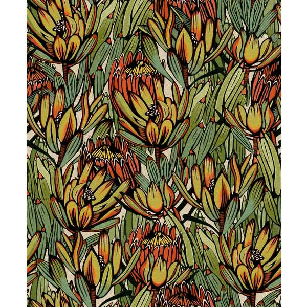 Storeys Brazil BA26032