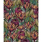 Storeys Brazil BA26033