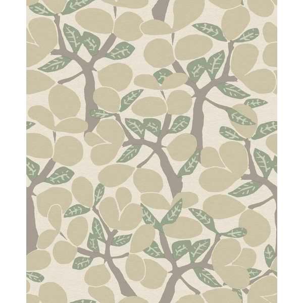 Storeys Brazil BA26050